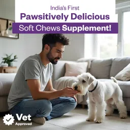 tailsalive Probiotic Soft Chews Supplements for Dogs | 90 Soft Chews Chicken Dog Chew image 2