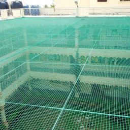 sai praseeda UV Stabilized Nylon Pigeon Net_Bird Net_Monkey Net_6 X 10 Feet_Green Color Camping Net image 4