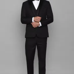 Men Single Breasted - 2 button Solid Suit-image-13