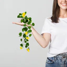 fancymart Artificial Flower Vine Plant Falling with Pot : Pack of 2 (Natural Touch & Feel) Wild Artificial Plant with Pot image 4