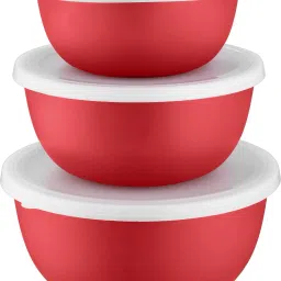 Stainless Steel Serving Bowl Flora Microwave-26