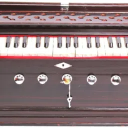 Harmon838 3.25 Octave Hand Pumped Harmonium-image-70