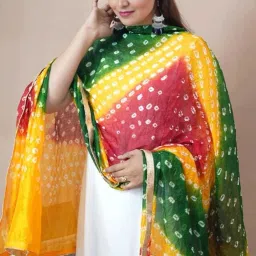 Net Embroidered Multicolor Women Dupatta-image-62