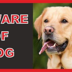 BEWARE OF DOG Emergency Sign-image-10