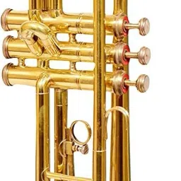 trumpet brass gold Bass Trumpet-image-23