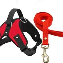Dog Harness With Strong Holder to Lift with Chokefree Comfort Dog & Cat Harness & Leash-image-41