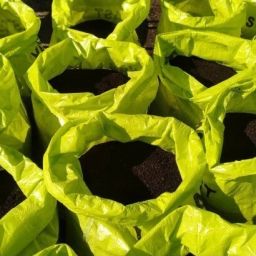 GARDENING 1 Kg Vermicompost Soil-image-84