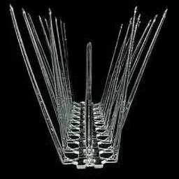 Bird Spike-image-30