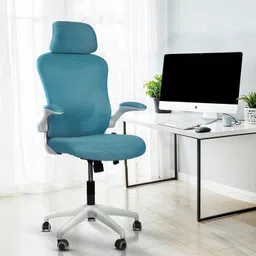 drogo Office Chair for Work from Home Computer Chair with Head & Lumbar Support Mesh Office Executive Chair-picture-19