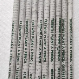 Plantable Newspaper Pencils Pencil-28