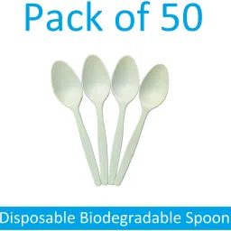 Disposable Porcelain Table Spoon Set-11