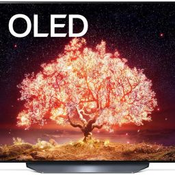 139.7 cm (55 inch) OLED Ultra HD (4K) Smart WebOS TV-image-26