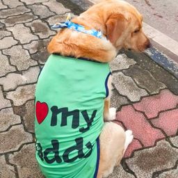 lulala T-shirt for Dog, Cat-picture-1