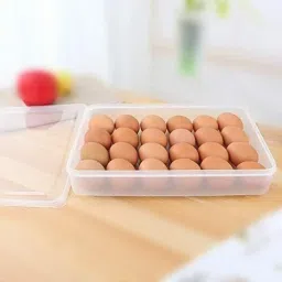vr Plastic Egg Container- 2 dozen image 2