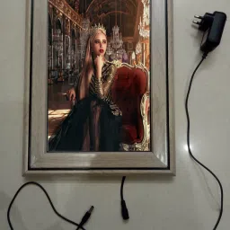 , CINDERELLA MODAL NO-70 , 15.5 inch LED PHOTO FRAME-16