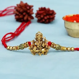 Designer D882P6 Assorted RakhiSet-18