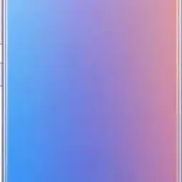 IncMart Vivo V20 Back Panel-image-33