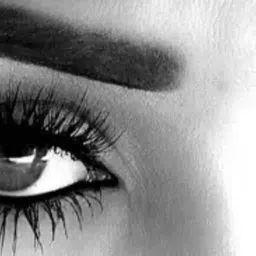 wonholli Black - volumizing and length adding mascara 6.5 ml image 2