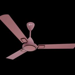 Falcon Deco Ash Rose 1 Star 1200 3 Blade Ceiling Fan-image-97