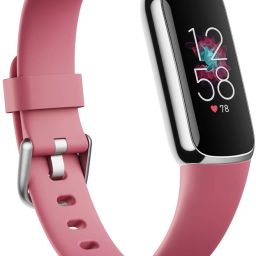FITBIT Orchid Platinum Stainless Steel-image-33