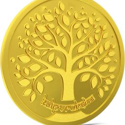 AGC10GMKALP995 24 (995) K 10 g Gold Coin-image-16