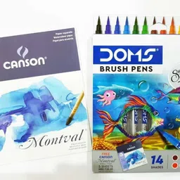 doms 14 Shade Brush Pen (Free 5 CANSON Sheet 17.5*17.5cm)-picture-19