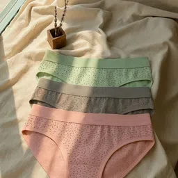 fiveflag Pack of 3 Women Hipster Multicolor Panty-picture-36