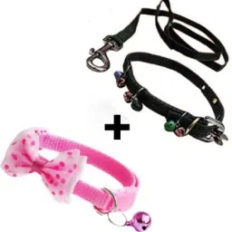 Dog & Cat Collar & Leash-3