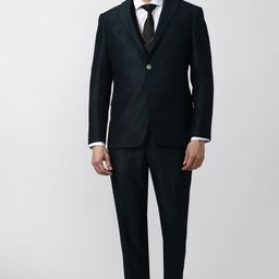 peter england Men Single Breasted - 2 button Solid Suit-picture-47