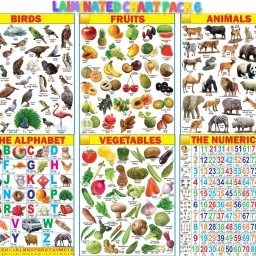 English Chart for Kids 45x65cm Mega Size ( 6 Charts ) - Laminated Early Learning Education Wall Picture Chart | English Alphabet, Numbers Charts Wall Chart Fine Art Print-image-25